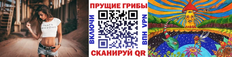 Галлюциногенные грибы Psilocybe  Рассказово 
